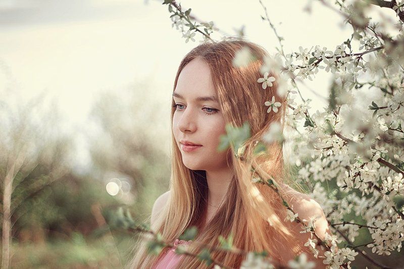 весна, вишня, цветы Весеннееphoto preview