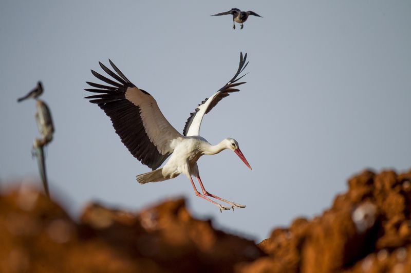 на посадкуphoto preview