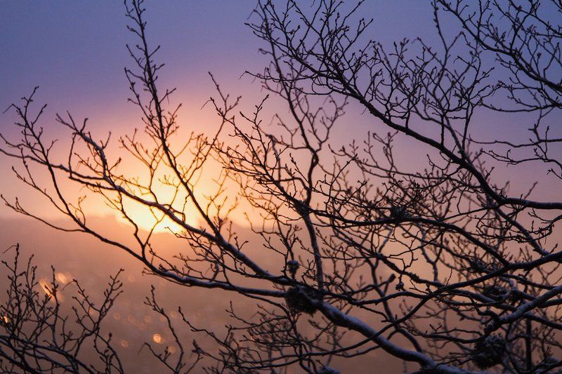 рассвет, sunrise, sun, crimea, солнце, весна, силуэты Сны о рассветеphoto preview