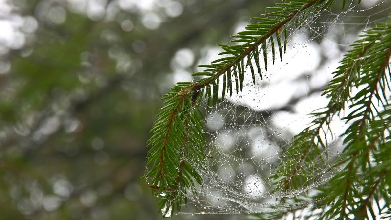 Это Осеньphoto preview