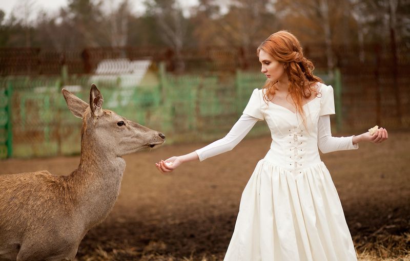 девушка, олень. рыжая, белое платье, весна, осень, поле, лес, животные, сказка, фентези, girl, deer. red, white dress, spring, fall, field, forest, animals, fairy tale, fantasy девушка с оленемphoto preview