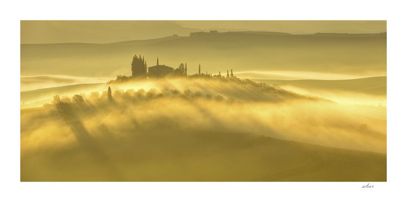 morning lightsphoto preview