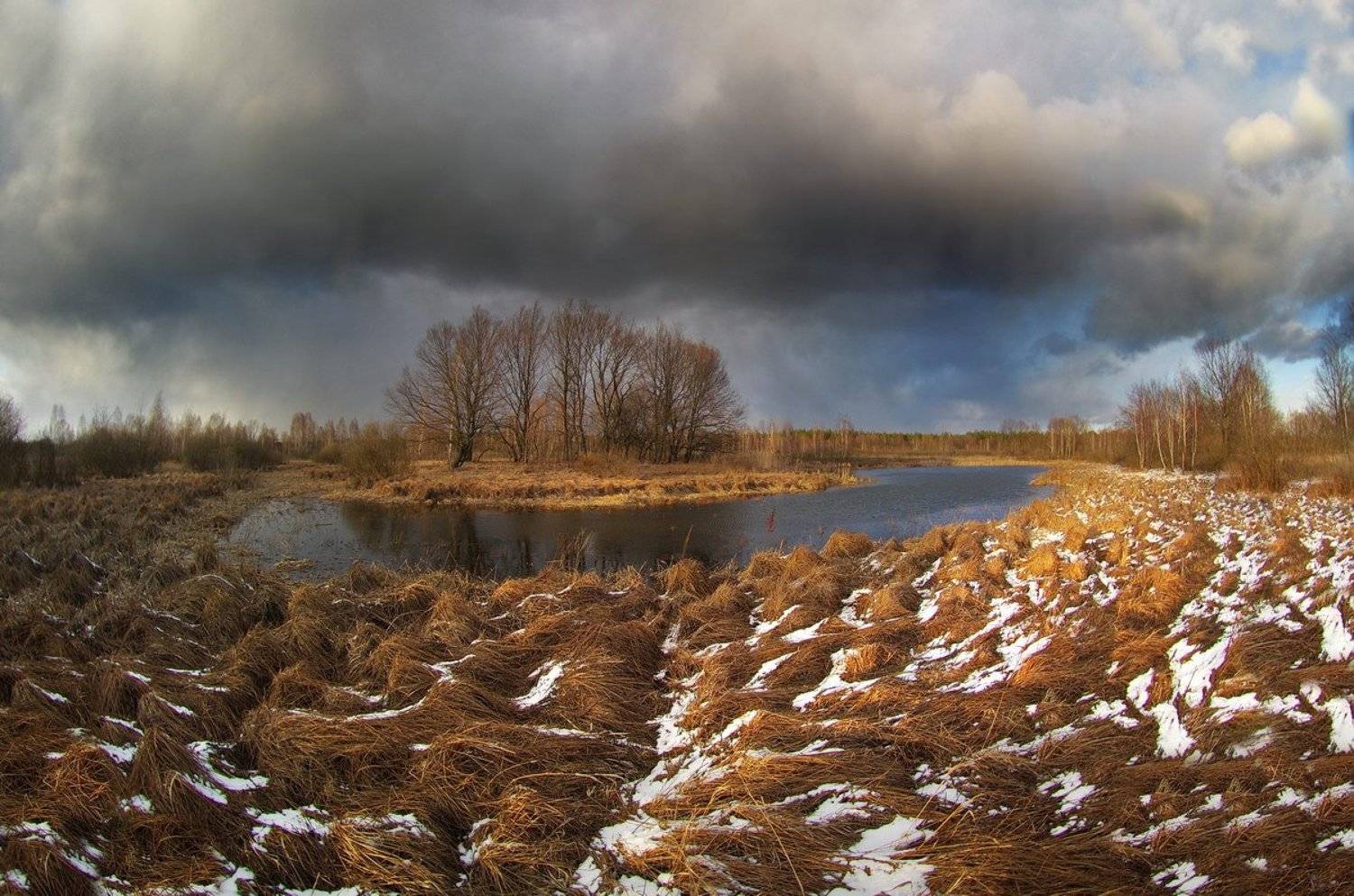 Весенние контрасты. Автор: Сергей Шляга , Сергей Шляга