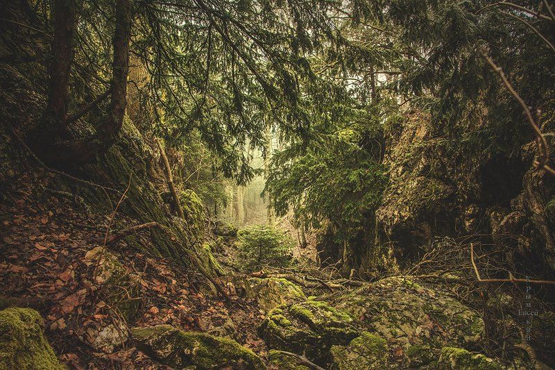 Крым. фото превью