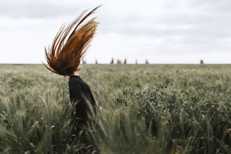 Gone with the windphoto preview