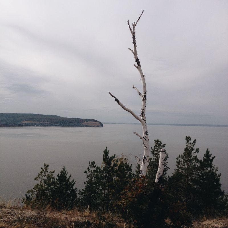 мобильная, фотография, mobile, photography Мобильная фотография ч.44photo preview