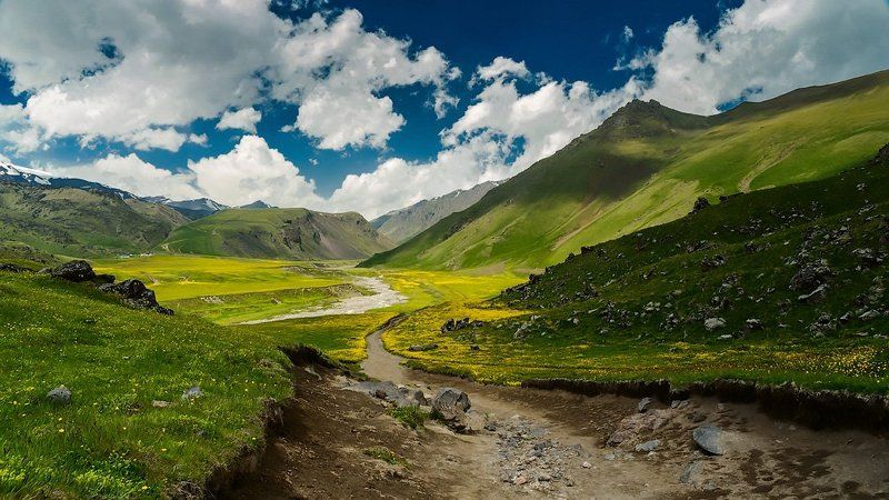 Горные цветы, Горы, Долина, Кавказ, Кавказ приэльбрусье горы пейзаж, Пейзаж, Приэльбрусье Так цветут горыphoto preview