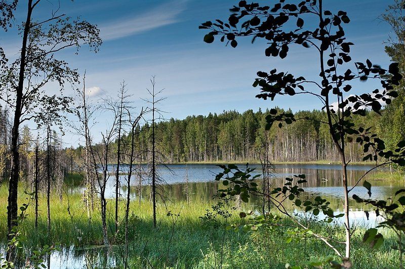 озеро Крестовое Лампиphoto preview