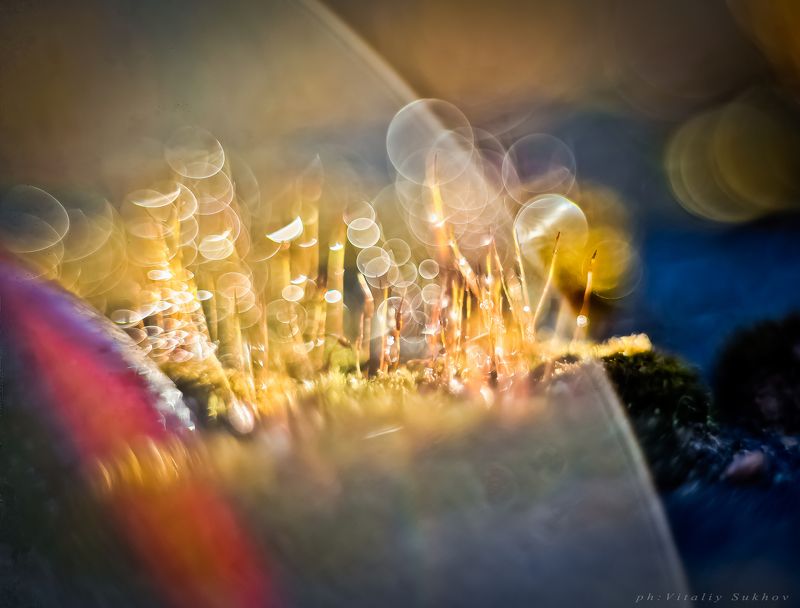 The Martian stories фото превью