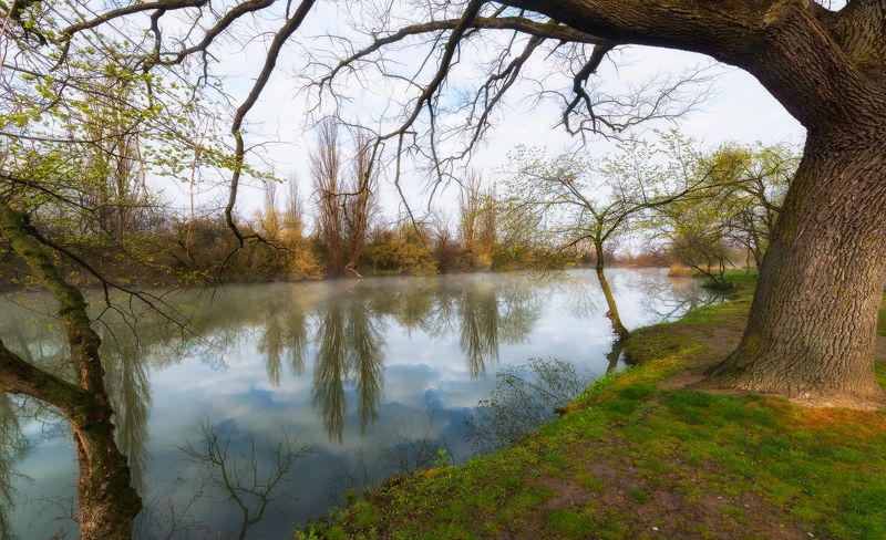 Утром в Воскресеньеphoto preview