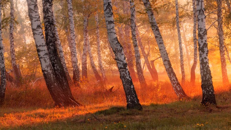 Воспоминания о весне фото превью