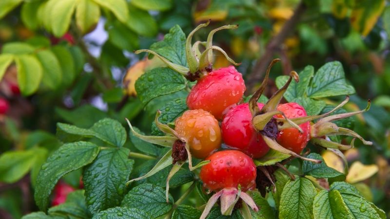 Это Осеньphoto preview