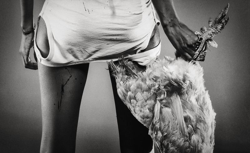 Viveza, now freephoto preview