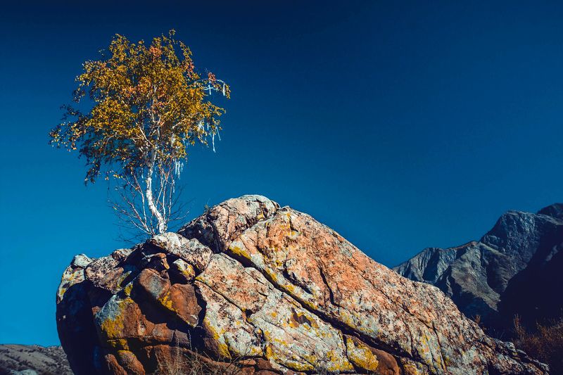 Алтайphoto preview