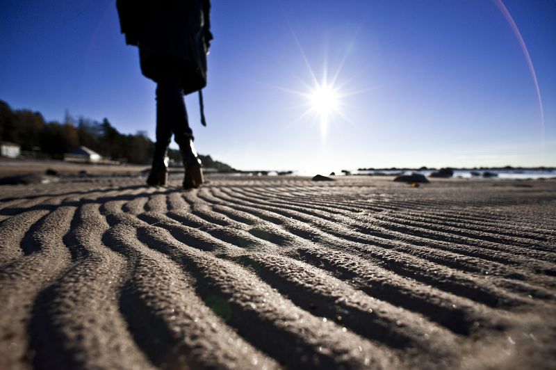 Финский заливphoto preview