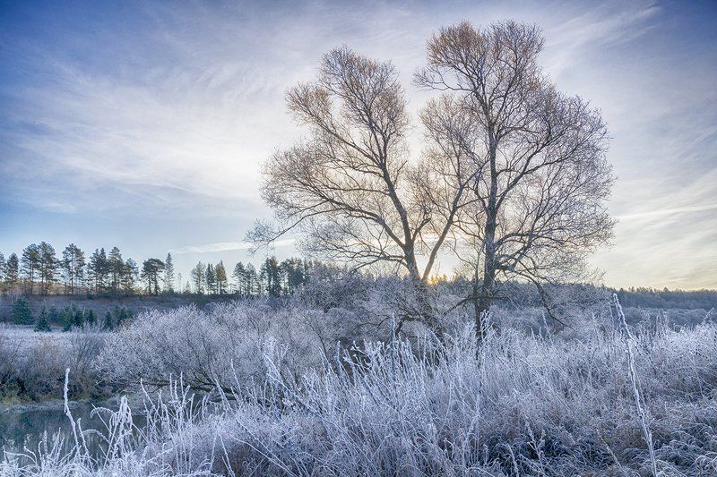 2015, D3100, Nikon, Иней, Никон, Ноябрь, Осень, Пейзаж, Природа, Рассвет, Россия, Тульская область, Утро В ожидании солнца фото превью