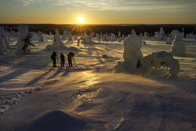 PASSIONphoto preview