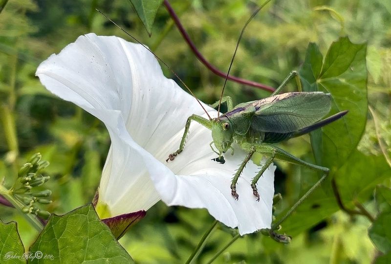 Завтрак...photo preview