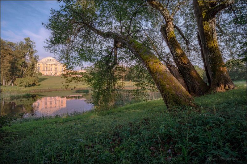 Павловский Змей Горынычphoto preview