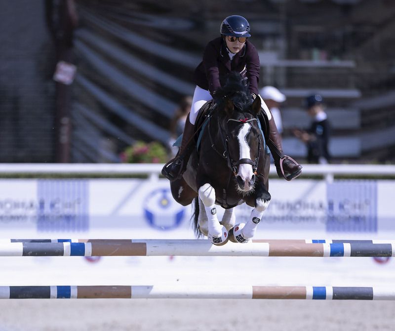 соревнования, конкур,прыжок, спорт, horse,competition, jump, sport На крыльях победы фото превью