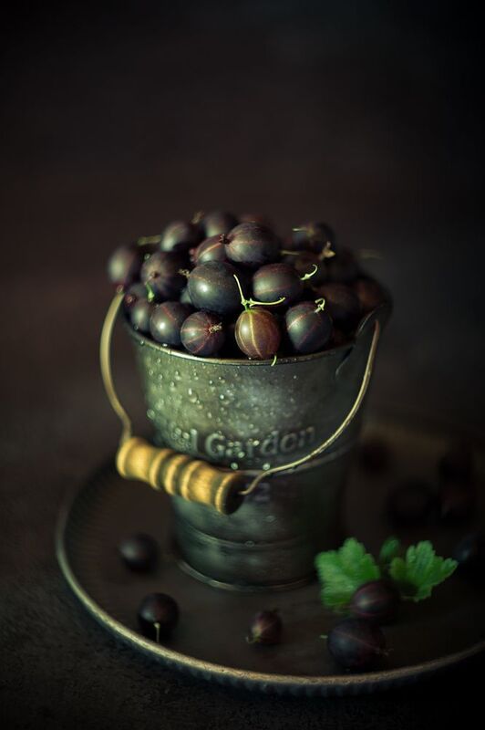 лето, крыжовник, черный крыжовник ***photo preview