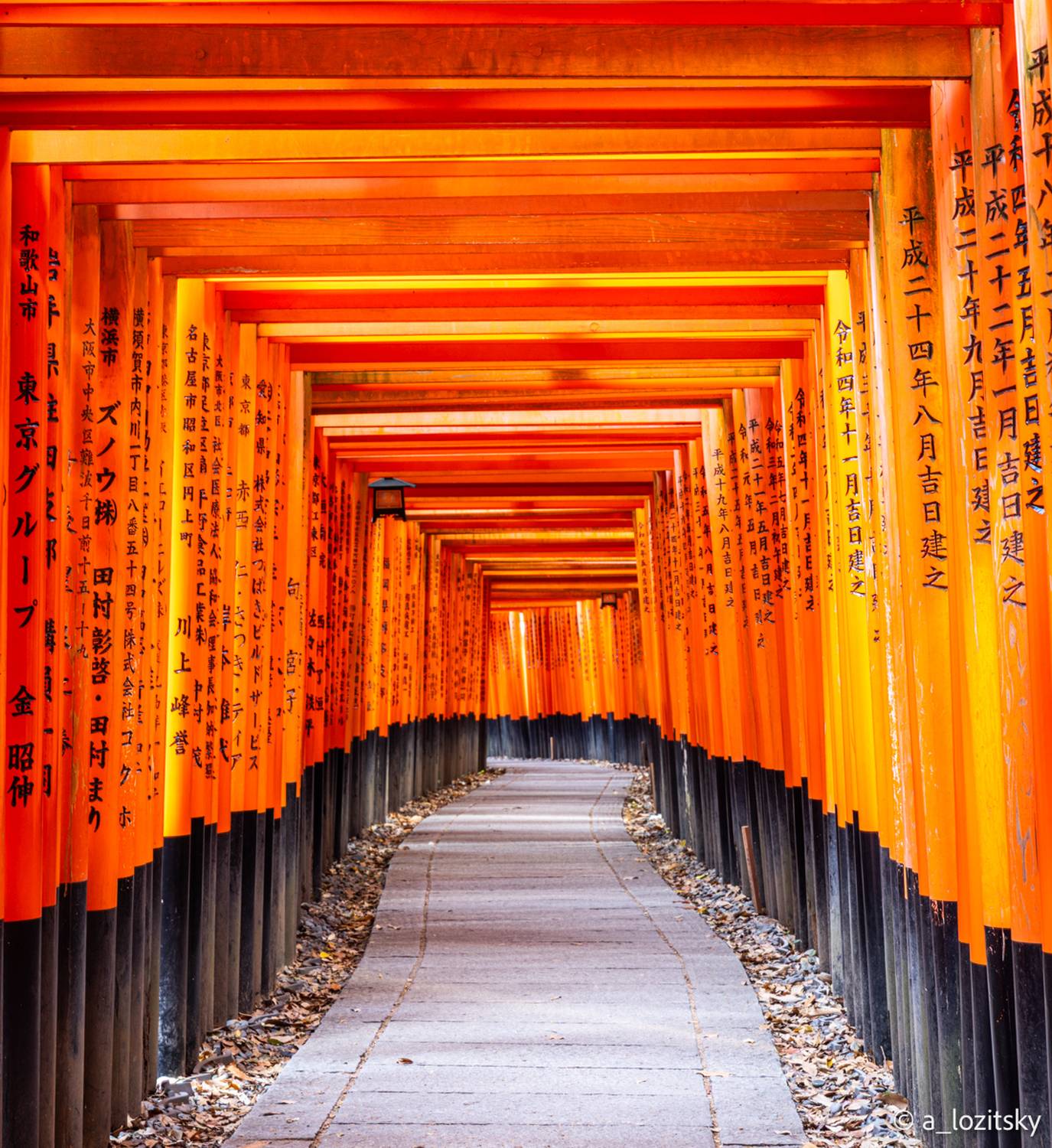 , Лозицкий Александр