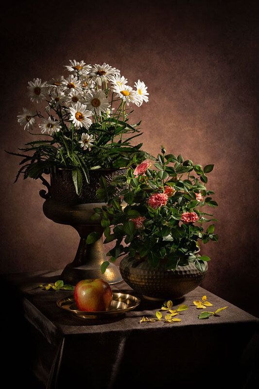 ---------------------photo preview