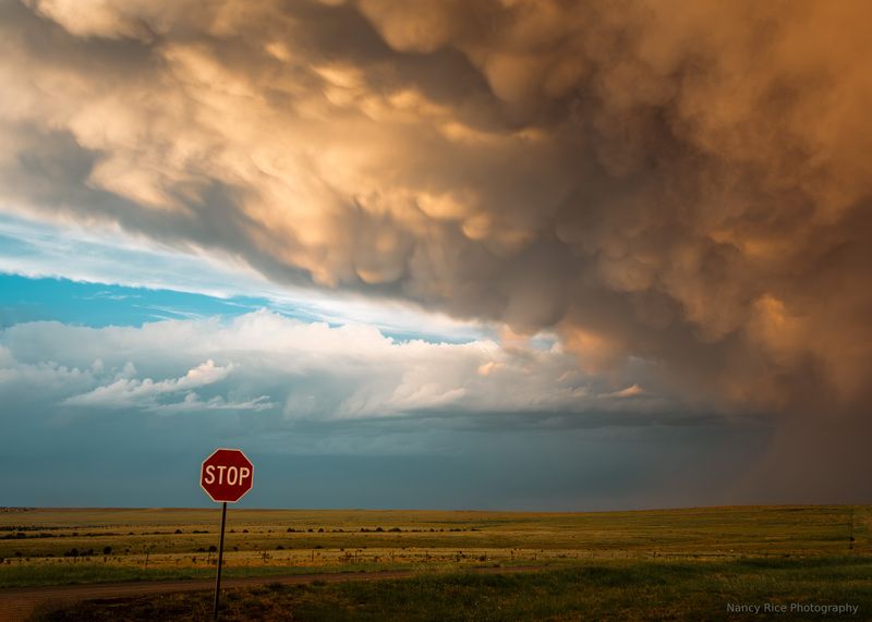 new mexico, usa, america, storm, thunderstorm, clouds, cloud, mammatus,  weather, sign, landscape, nature, outdoors STOPphoto preview