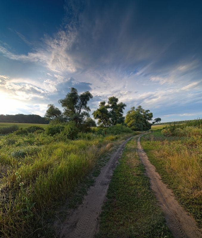 Дорожкаphoto preview