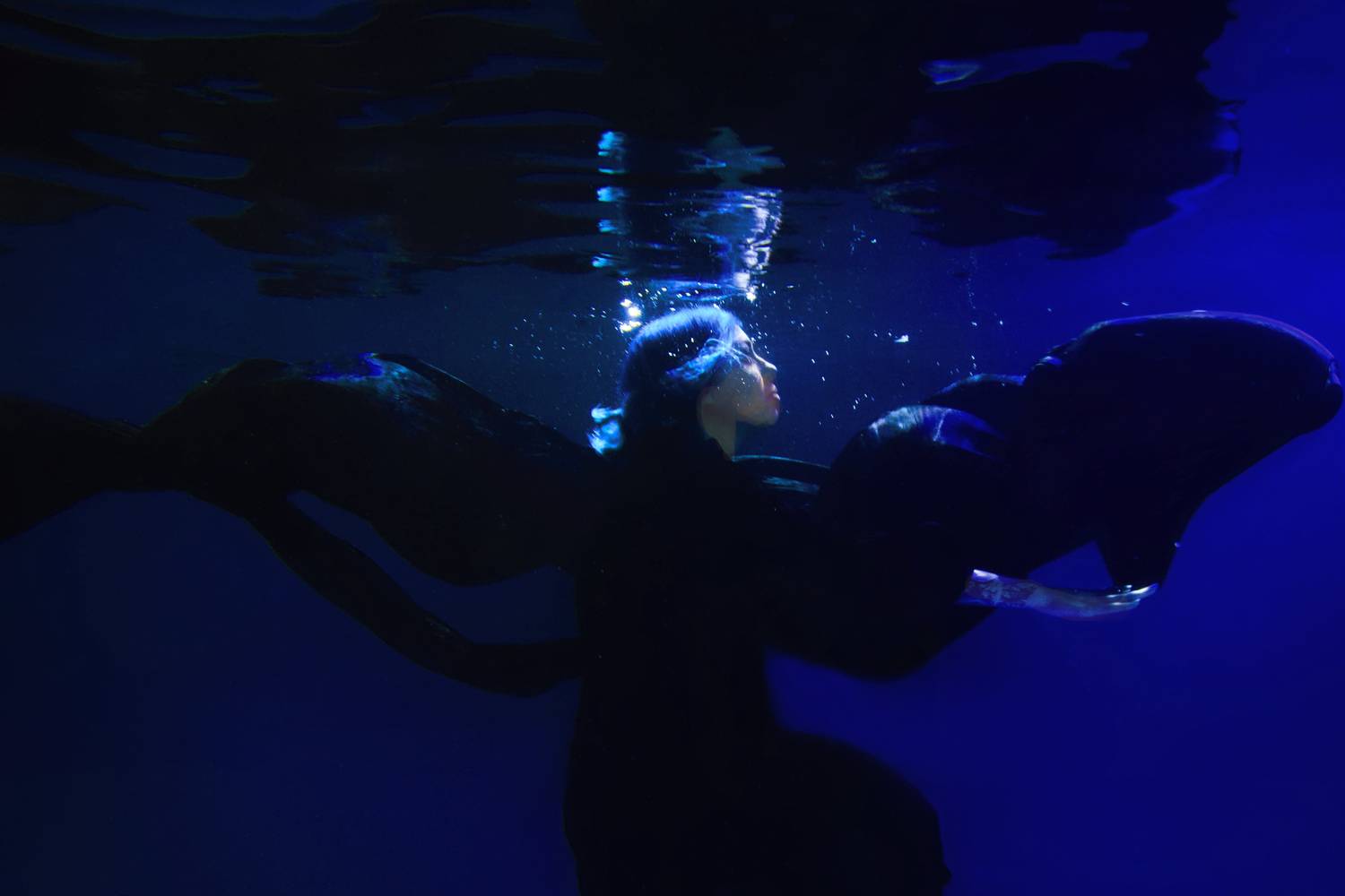 Дарина. Автор: Marie Dashkova , Marie Dashkova