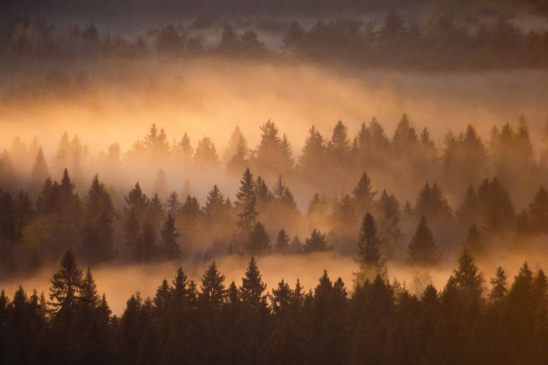 После дождяphoto preview