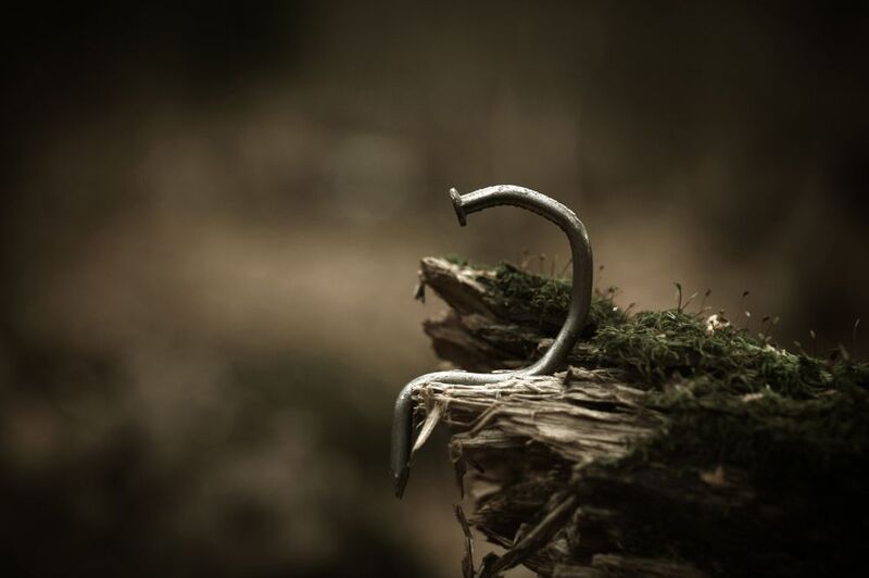 природа, лес, гвоздь, гвозди Одиночествоphoto preview