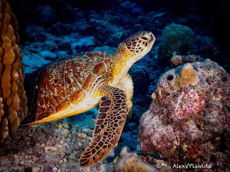 На старт.. Внимание...photo preview