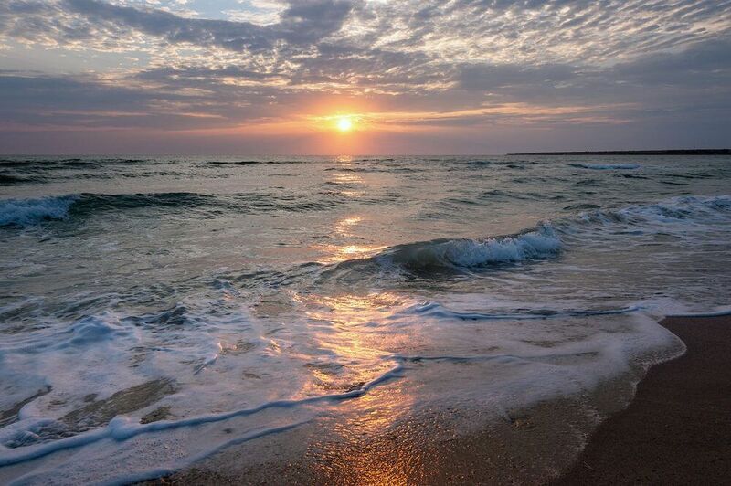 Цвет лета.photo preview