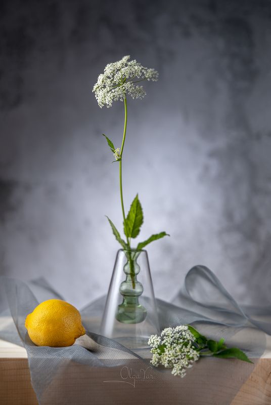 цветы, лето, стекло, лимон Летоphoto preview