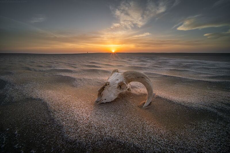 казахстан, фототур, яковлевфототур, мангистау, мангышлак, айракты, босжира, устюрт, карынжарык, тузбаир, торыш, туйесу, сенек Мангистауphoto preview