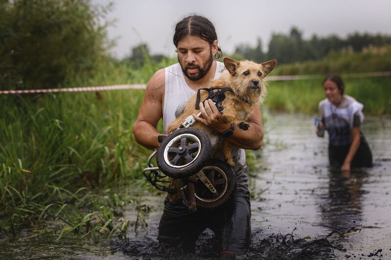 Нет ничего невозможногоphoto preview