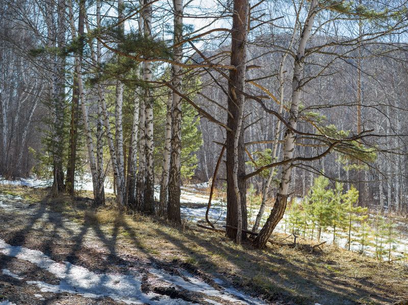 весенний настройphoto preview