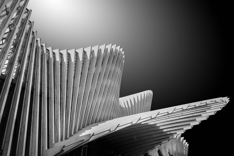 Wings of Light and Steelphoto preview