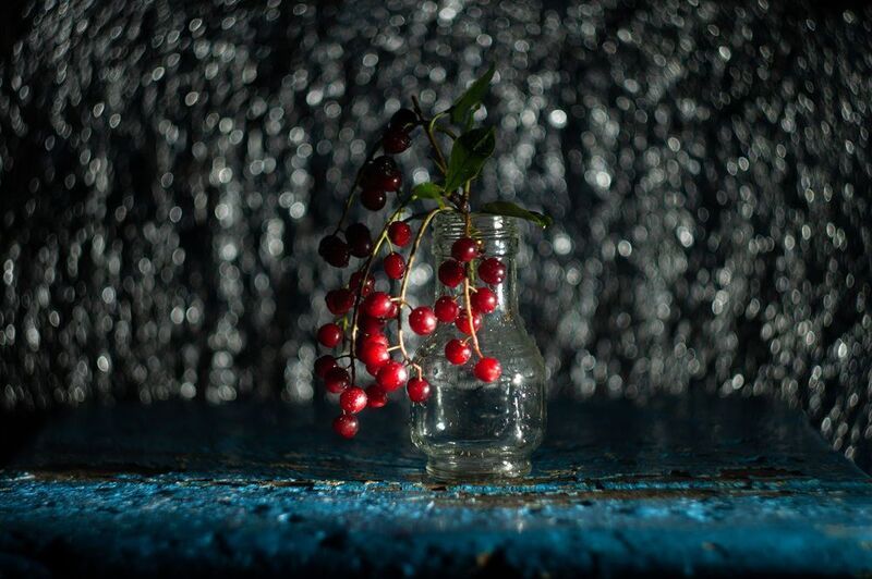 гелиос 44 Черемухаphoto preview