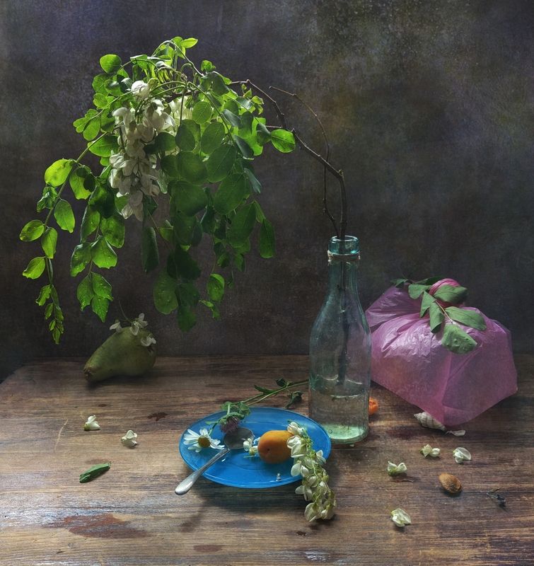 акация, ветка, груша Белой акации..photo preview