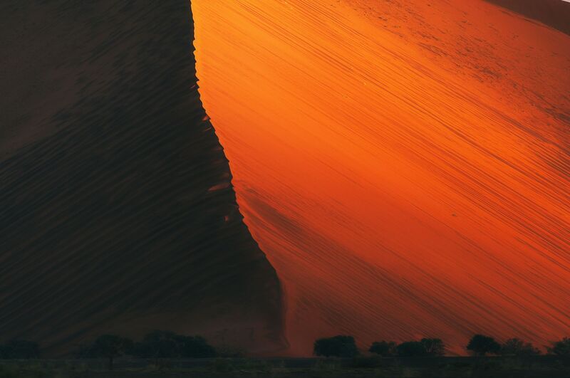 Muad\'Dibphoto preview