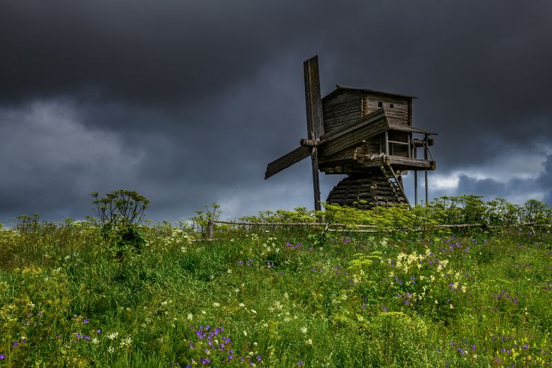 Деревенские прогулки... фото превью