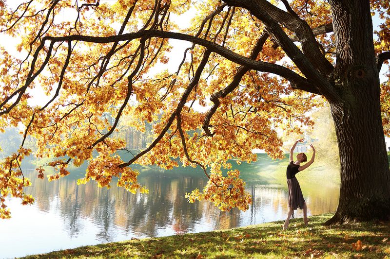 балет, балерина, пуанты, силуэт, фотография, момент, пейзаж, цвет, свет, жанр Балет в эскизахphoto preview