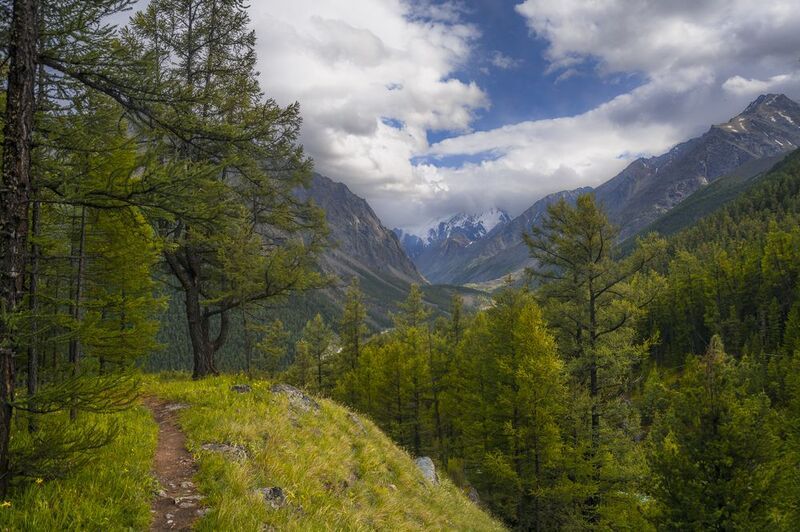 россия, горный алтай Летними тропами фото превью