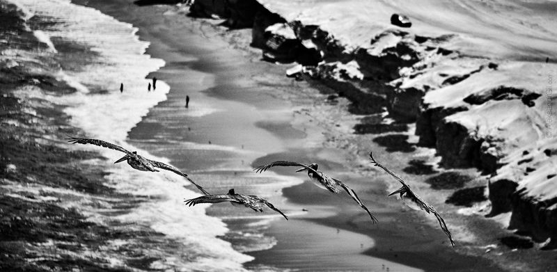 Слои Бытияphoto preview