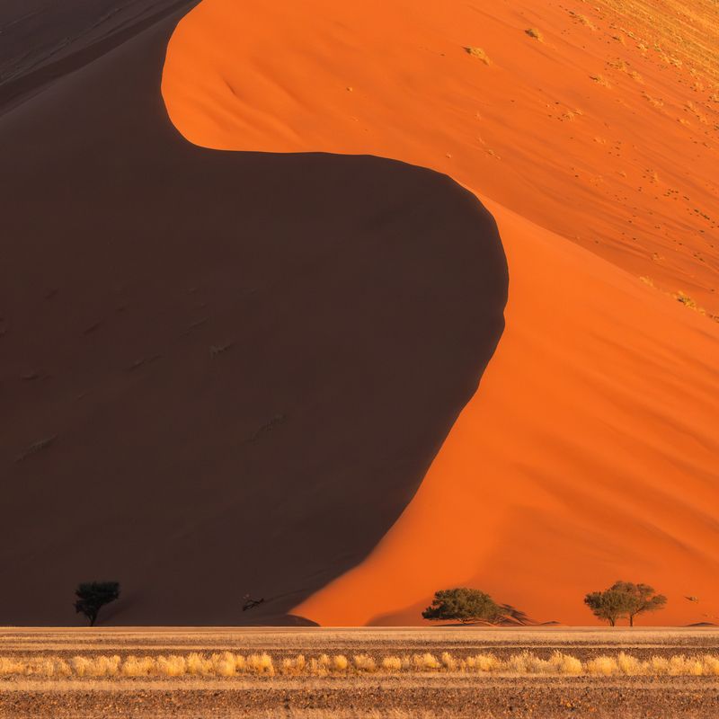 worldphototravels, mikereyfman, wildlifephotography, naturephotography, photoworkshop, photosafari, sossusvlei, namibia The Shape of Light: First Touch to Final Flamephoto preview