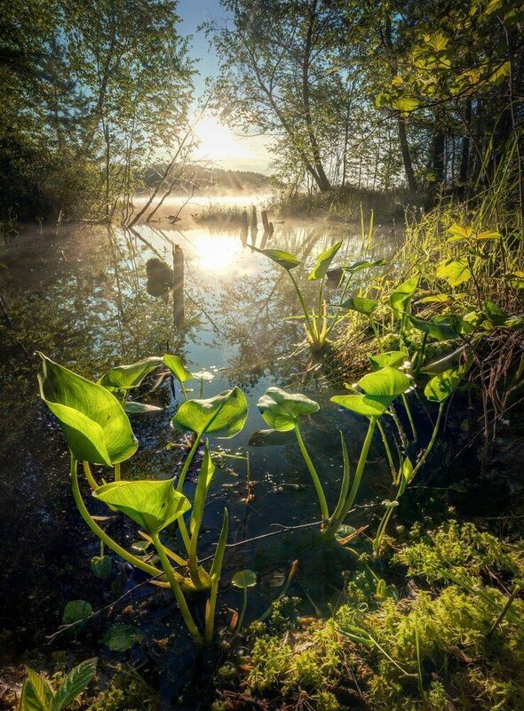 Утренняя магия...  Morning magic...photo preview