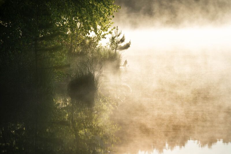 Утренняя магия... Morning magic...photo preview