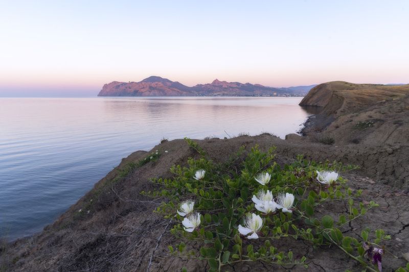 Утро в Тихой бухтеphoto preview